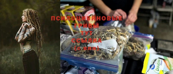 стаф Белокуриха