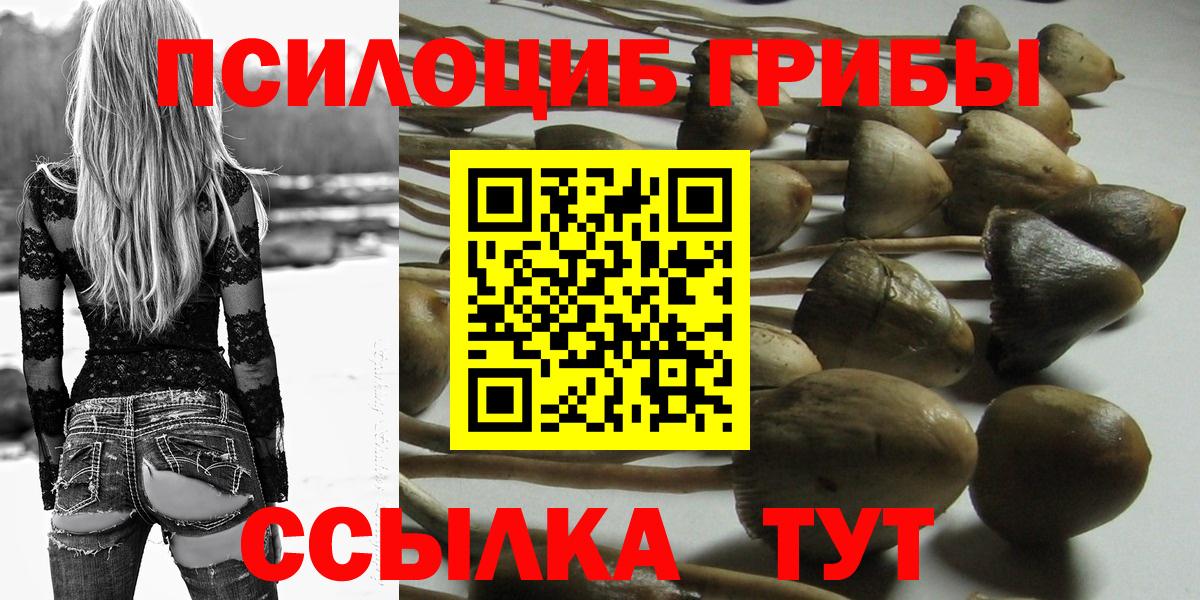 Галлюциногенные грибы Psilocybine cubensis  цены   Горячий Ключ  Вход с VPN 